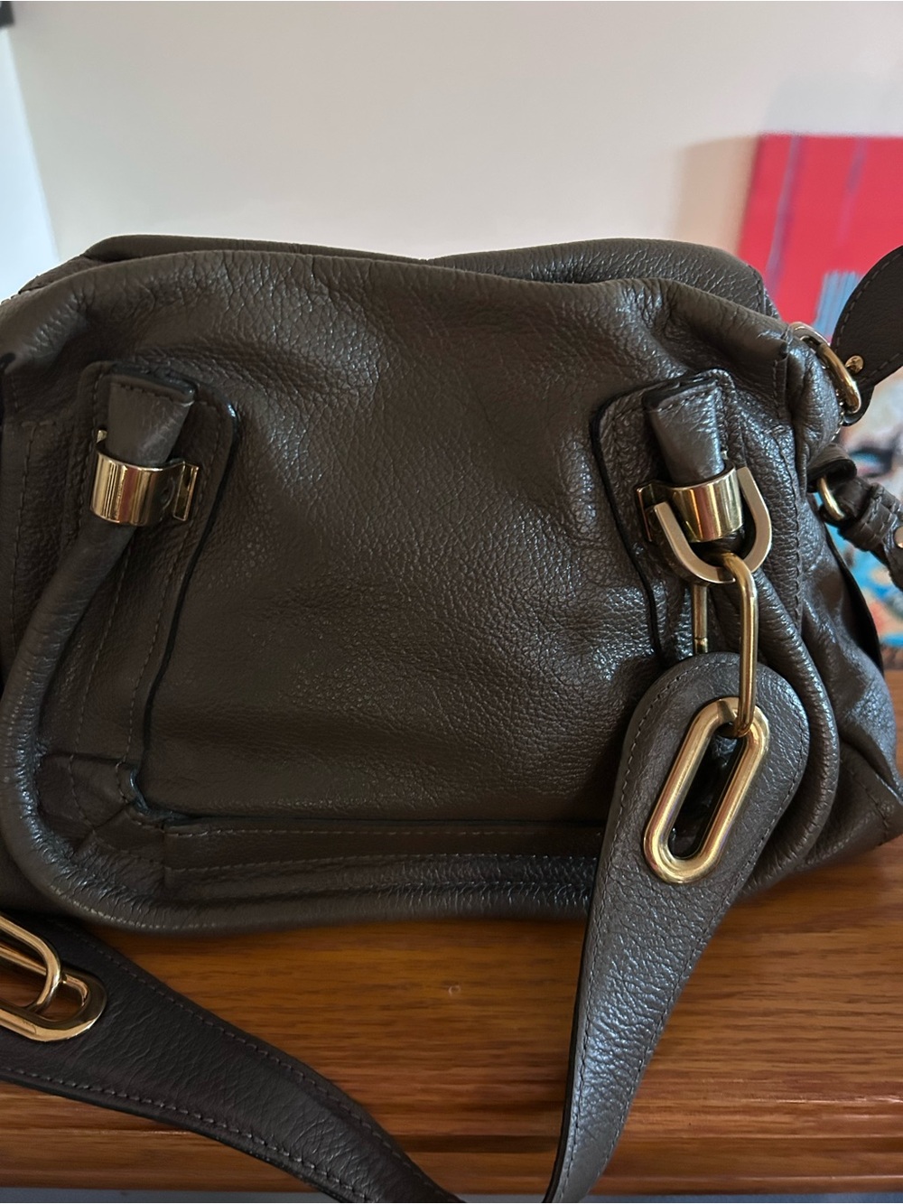 Chloe Rock Calfskin Leather Small Paraty - Picture 5 of 5